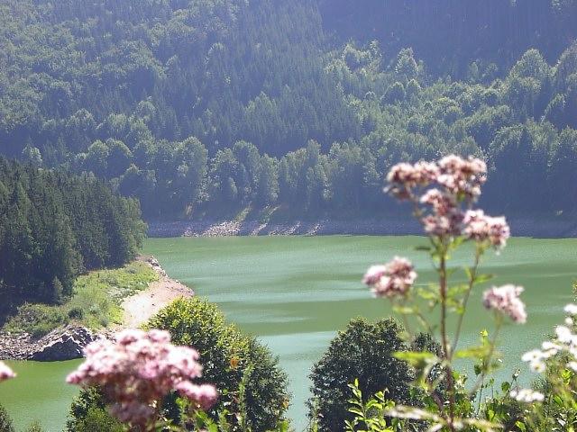 Rodinne Ubytovani Na Habesi Crhov ภายนอก รูปภาพ